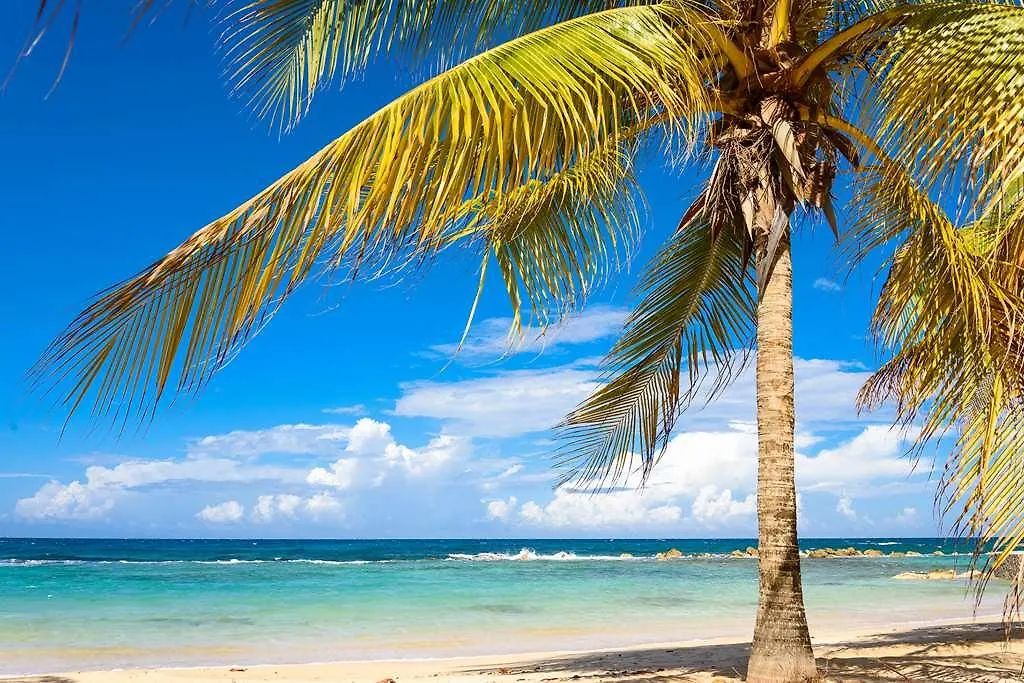 Hotel Melia Braco Village Trelawny Jamaica